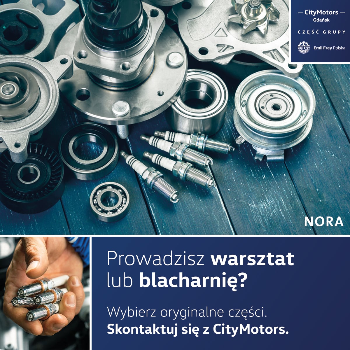 Program NORA dla Twojej firmy