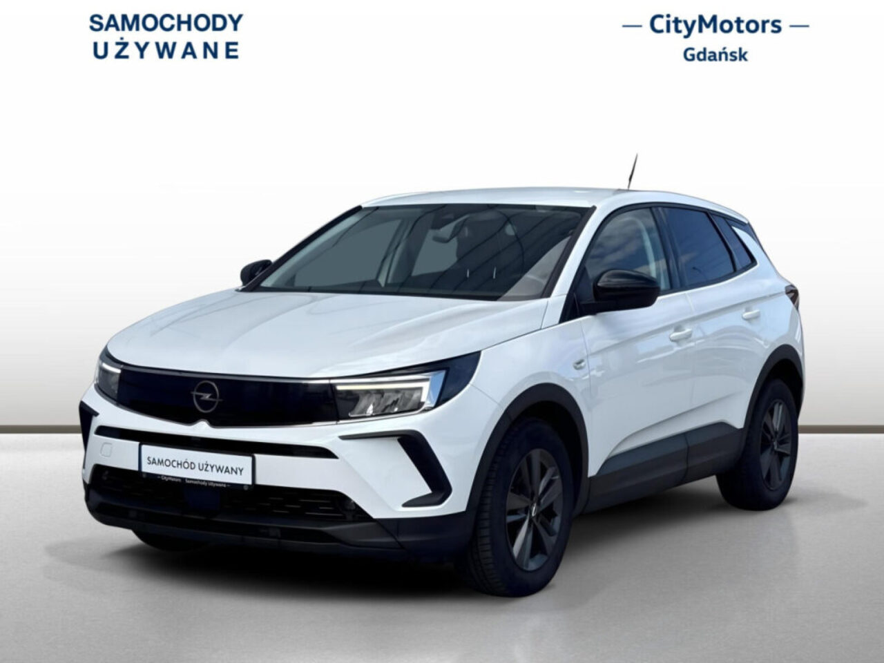 Opel Grandland 2022 (115 326 km)